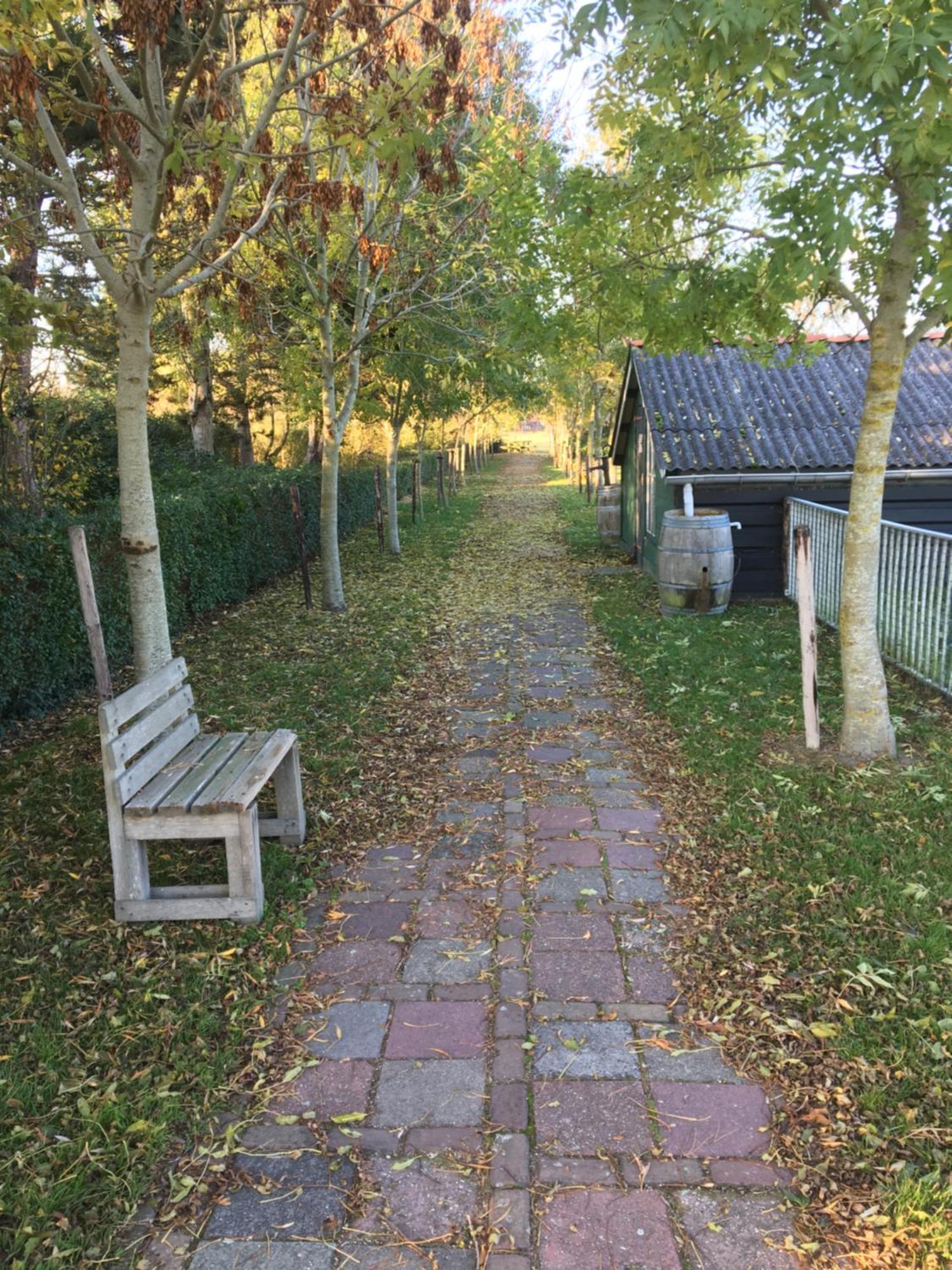 Het Landhuis Oostkapelle Exteriör bild