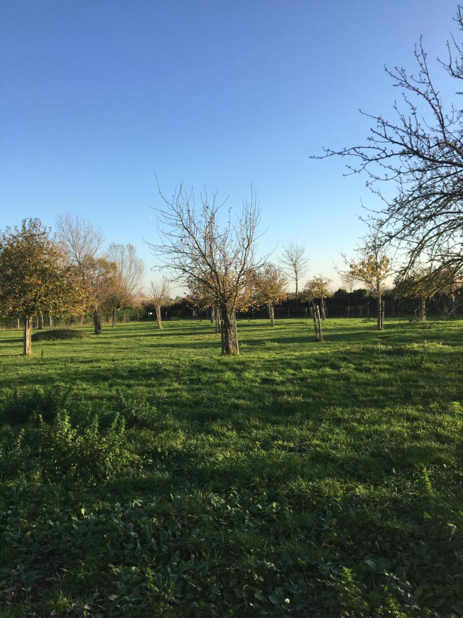 Het Landhuis Oostkapelle Exteriör bild